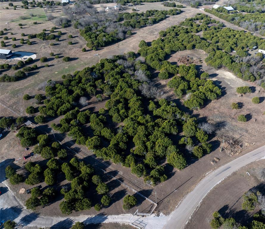 1020 Eagle Ridge Drive Rio Vista, TX 76093 - Photo 6 of 10 a plant with lots of trees