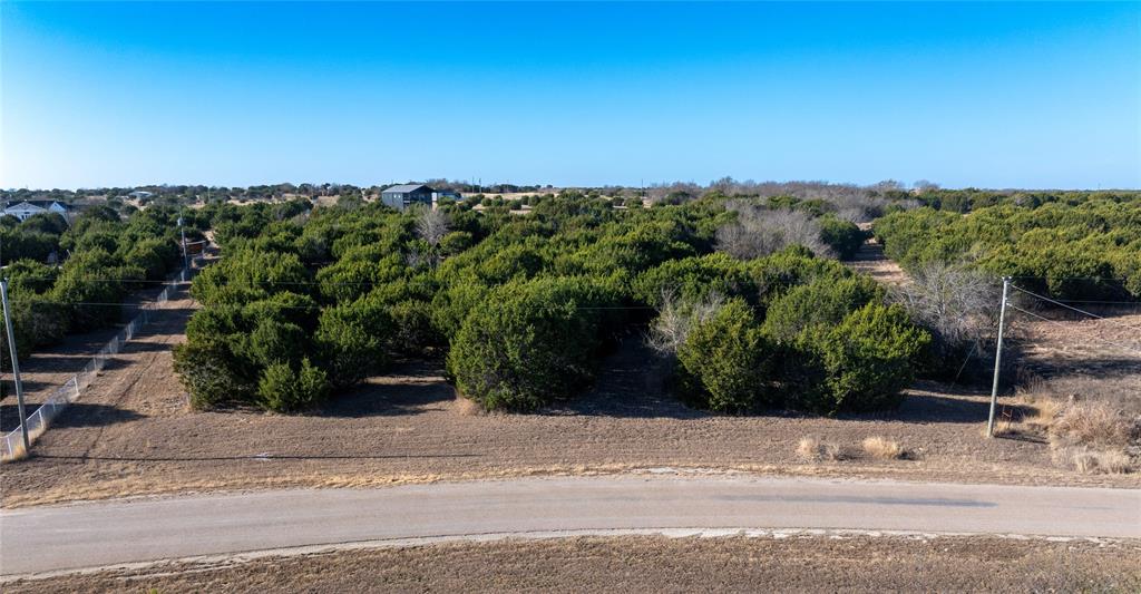 1020 Eagle Ridge Drive Rio Vista, TX 76093 - Photo 10 of 10 a view of a yard