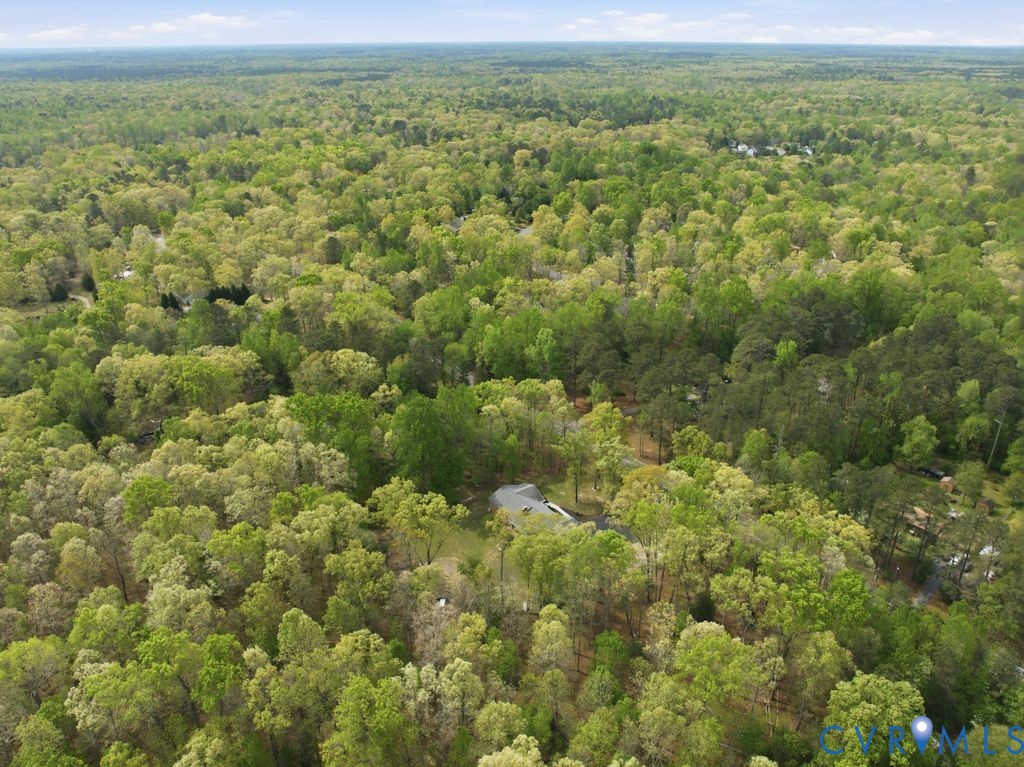 13311 Lewis Road Chester, VA 23831 - Photo 4 of 57 Gallery Image 4