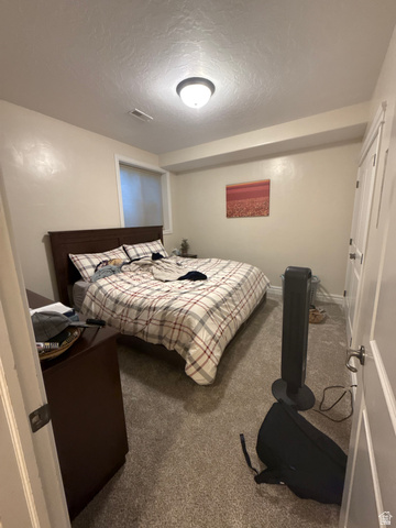 3145 South 500 West Vernal, UT 84078 - Photo 33 of 64 Carpeted bedroom with a textured ceiling and baseboards