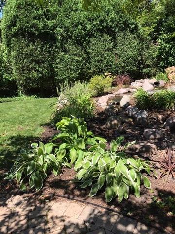 2540 Shannon Road Northbrook, IL 60062 - Photo 32 of 32 a backyard of a house with lots of green space