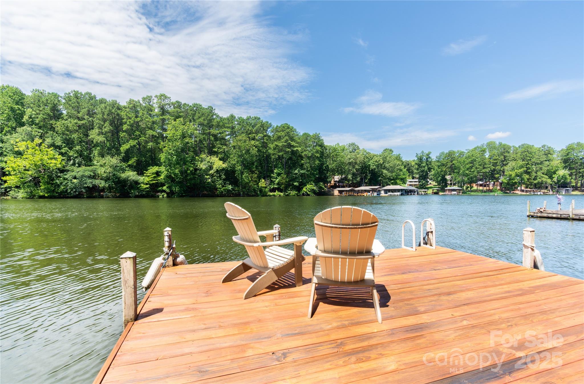 9807 Pine Tree Road, Unit 168 Norwood, NC 28128 - Photo 4 of 31 Gallery Image 4