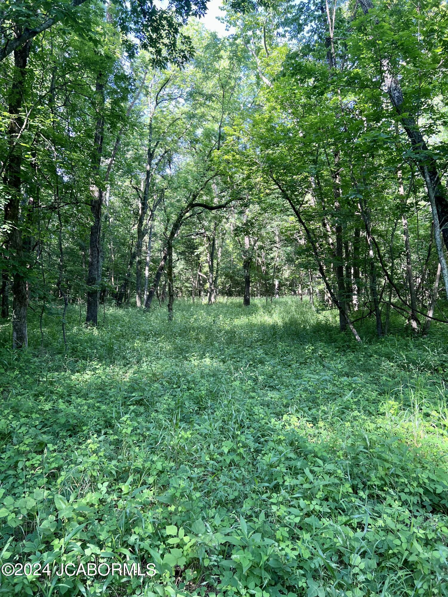 Tbd State Rte O Steedman, MO 65077 - Photo 12 of 34