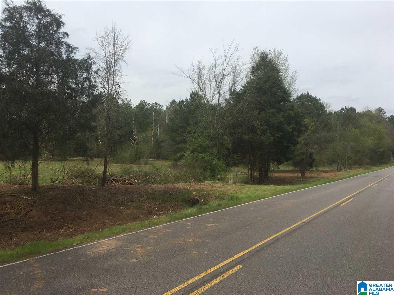 0 Duck Springs Road, Unit 2 PARCELS Attalla, AL 35954 - Photo 4 of 24
