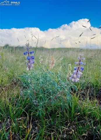 $132,000 | 19 Tallgrass View, Calhan, CO 80808