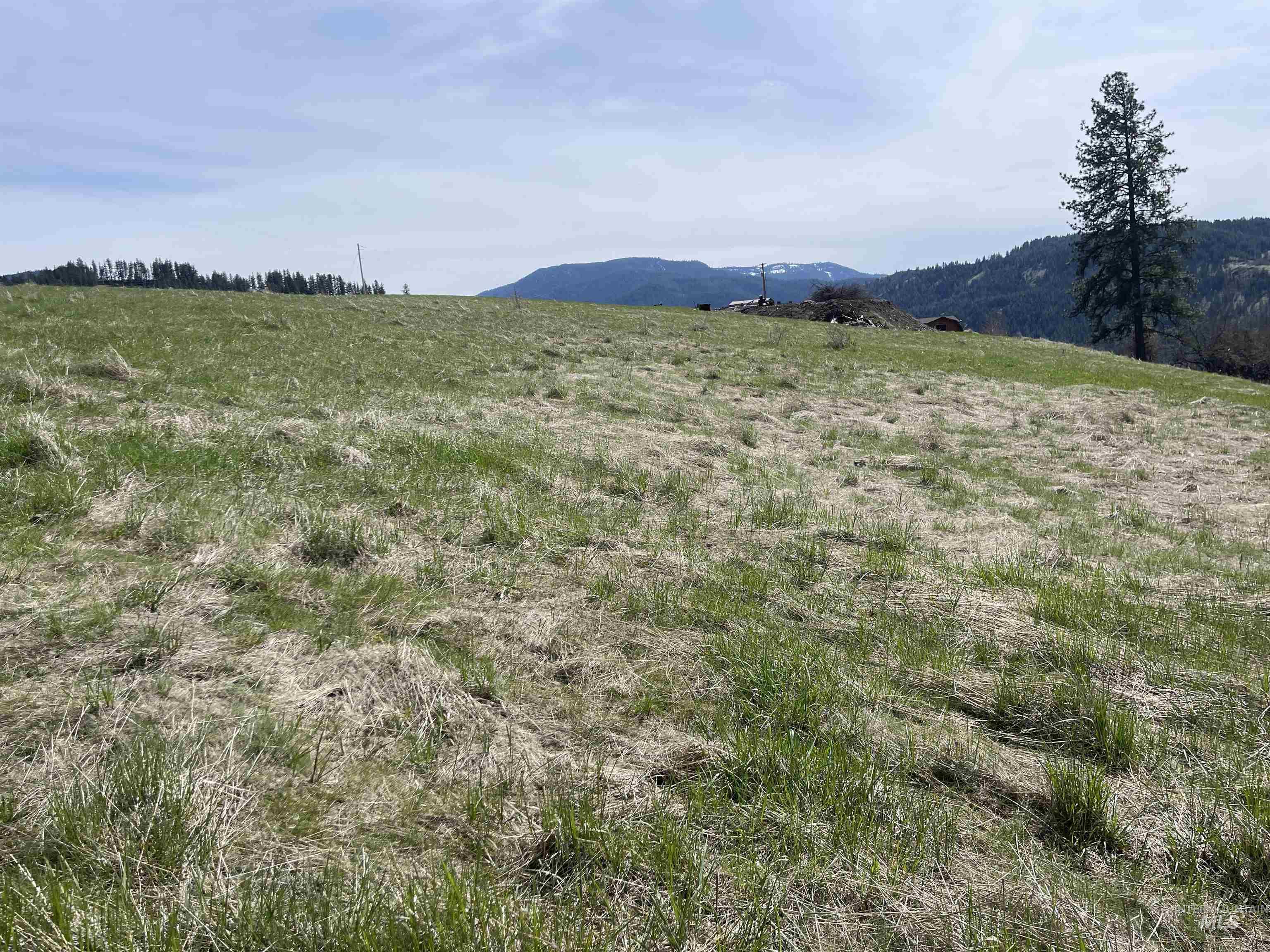 Tbd Wagonwheel Road Stites, ID 83552 - Photo 1 of 33