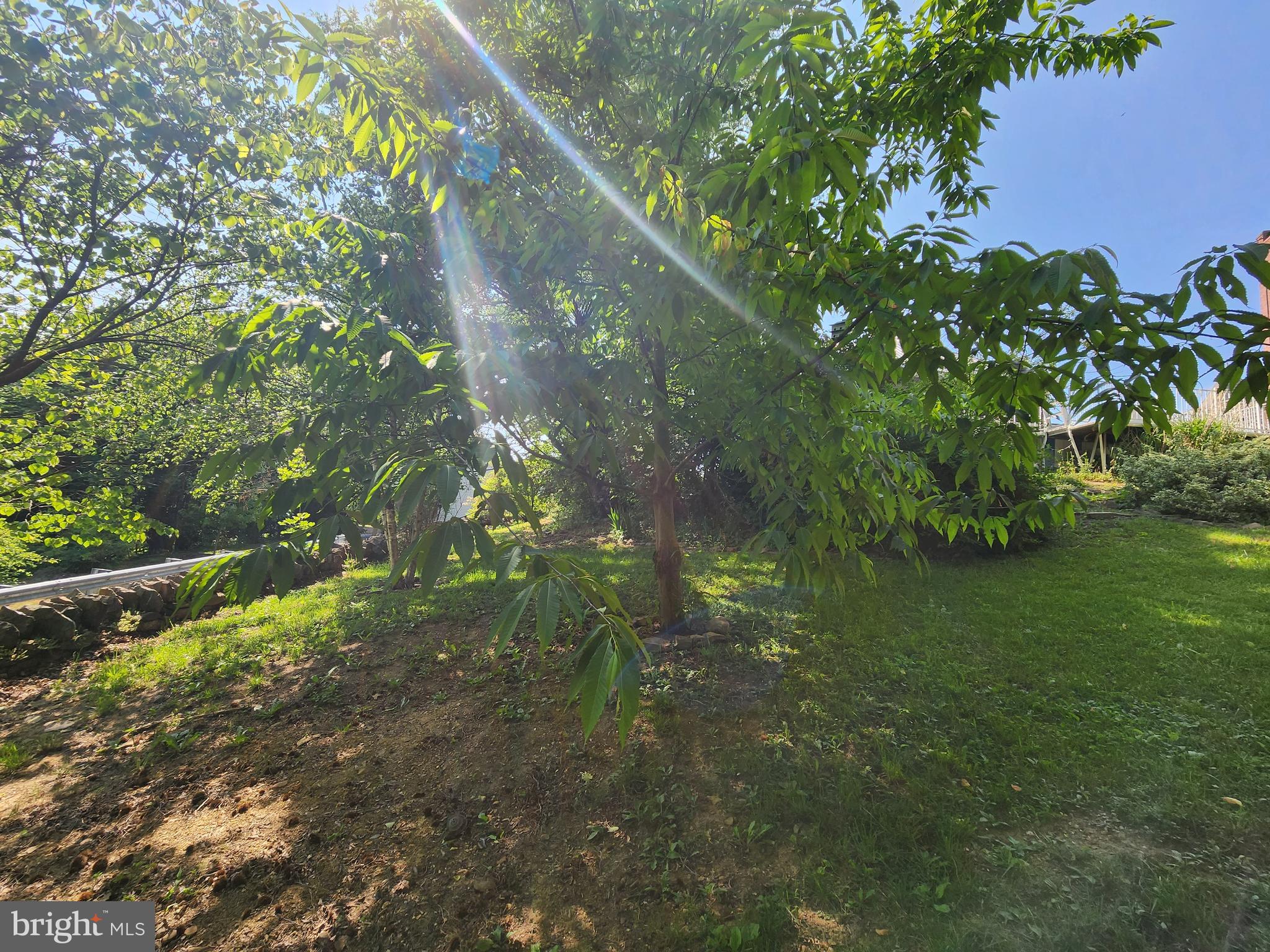 12608 Old Row Road Mount Savage, MD 21545 - Photo 29 of 35