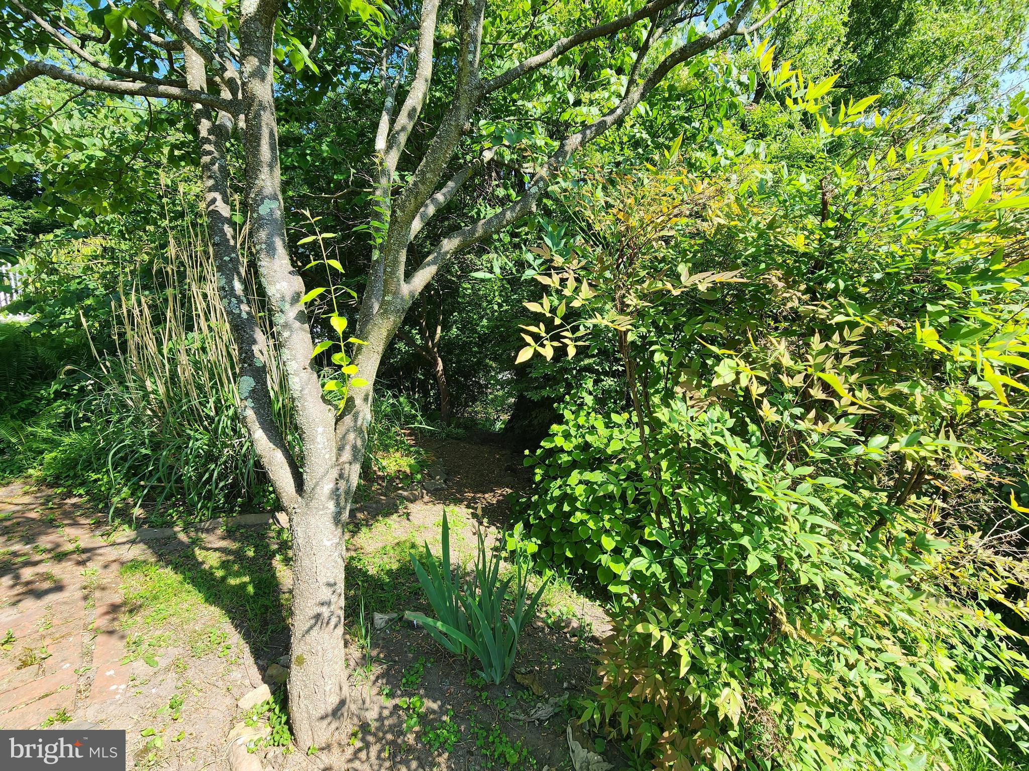 12608 Old Row Road Mount Savage, MD 21545 - Photo 30 of 35