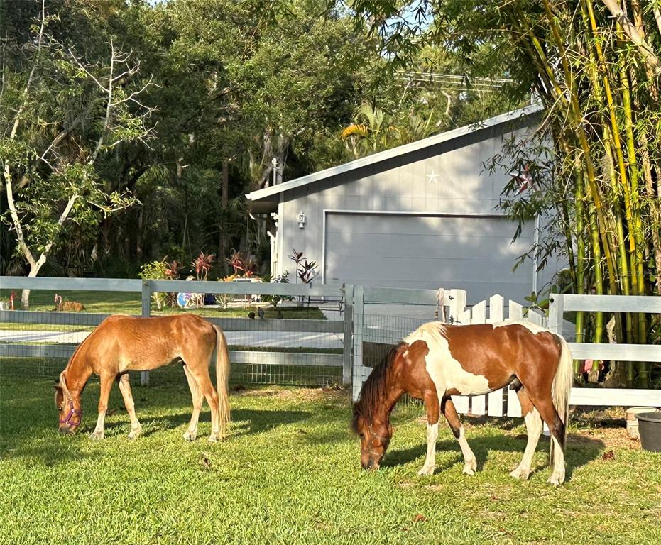 2070 59th Street Sarasota, FL 34243 - Photo 2 of 56 a backyard of a house with table and chairs