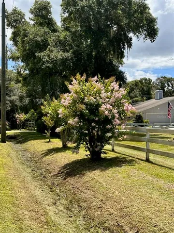 a view of fountain in the backyard
