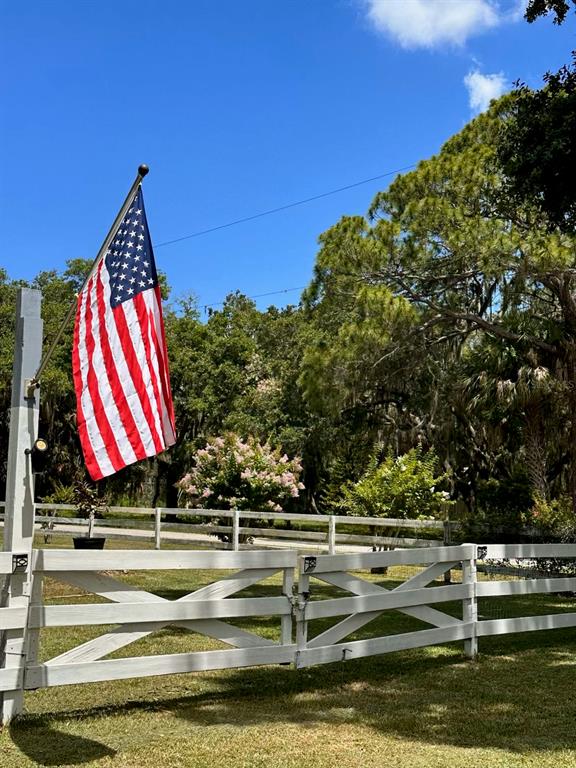 2070 59th Street Sarasota, FL 34243 - Photo 50 of 56 a view of large trees and sky view