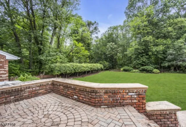 a view of a garden with plants