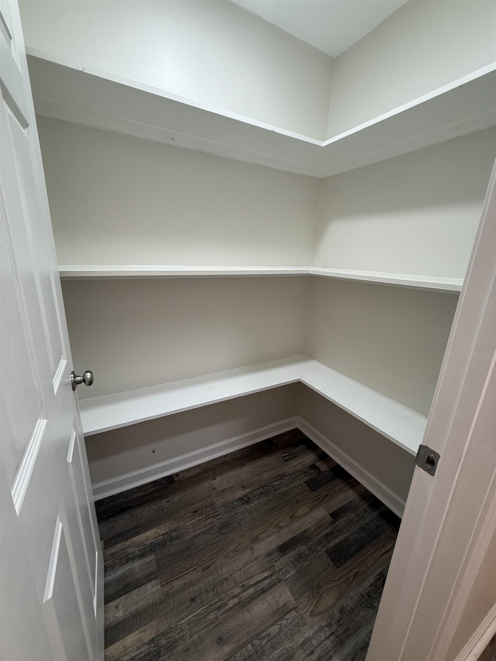 1835 Pleasant Grove Road Moscow, TN 38057 - Photo 11 of 34 Walk-in pantry featuring abundant white shelving, wood-finish flooring, and white baseboards