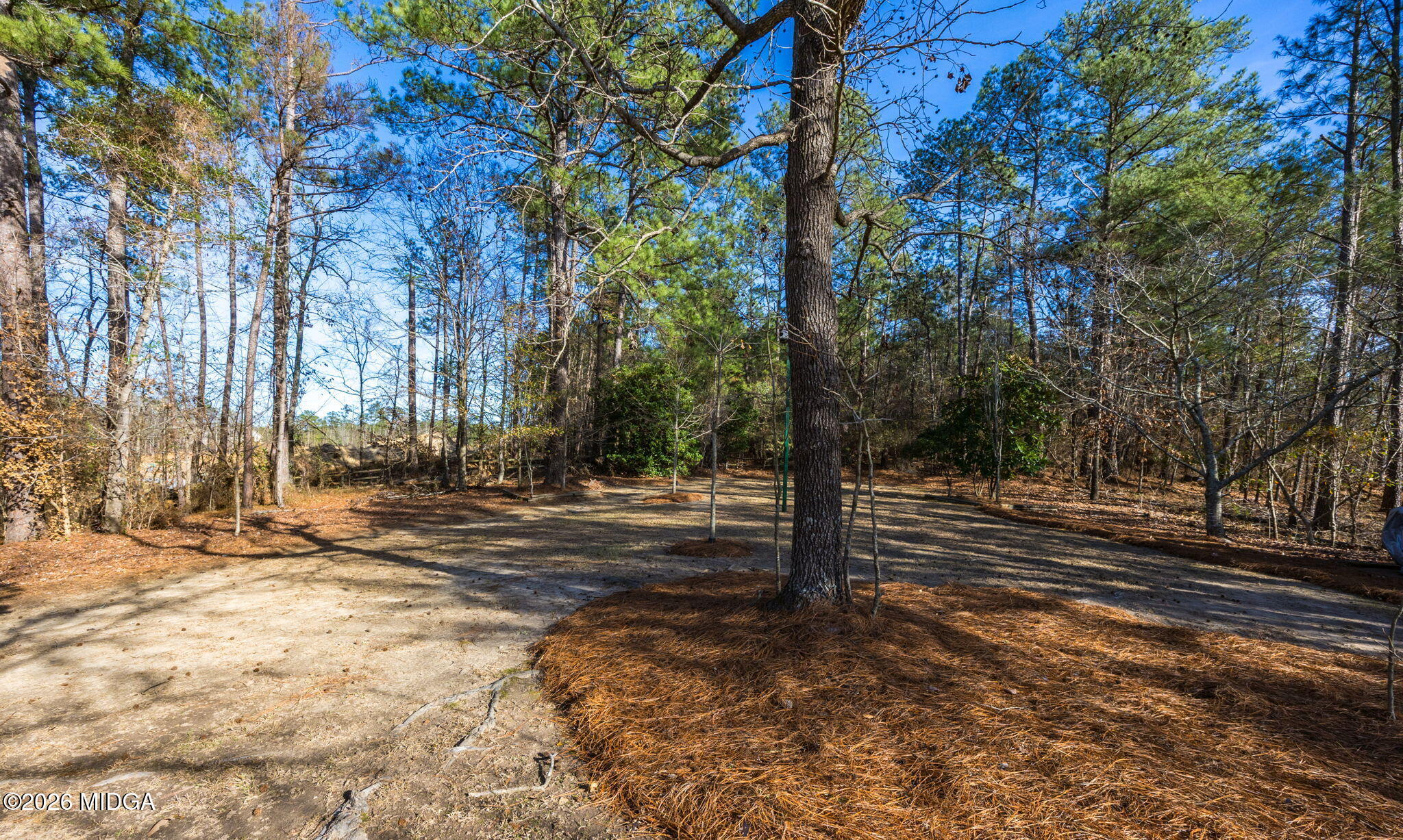 312 Pinnacle Park Macon, GA 31220 - Photo 58 of 63 a view of a yard with large trees