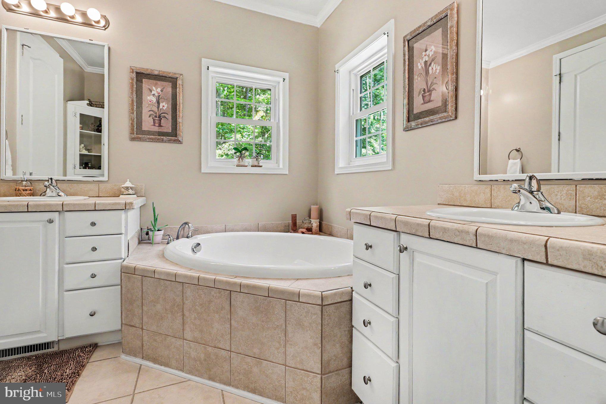 157 Roderick Place Mineral, VA 23117 - Photo 18 of 48 Primary Bath