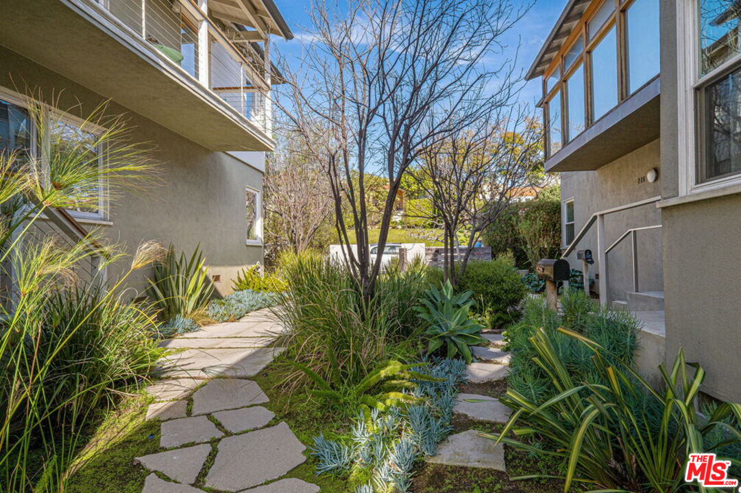 a view of backyard of house