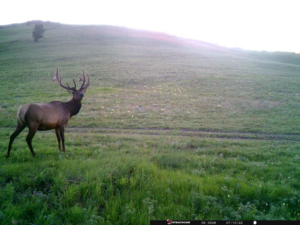 Tbd Indian Creek Road Townsend, MT 59644 - Photo 25 of 50 Gallery Image 25