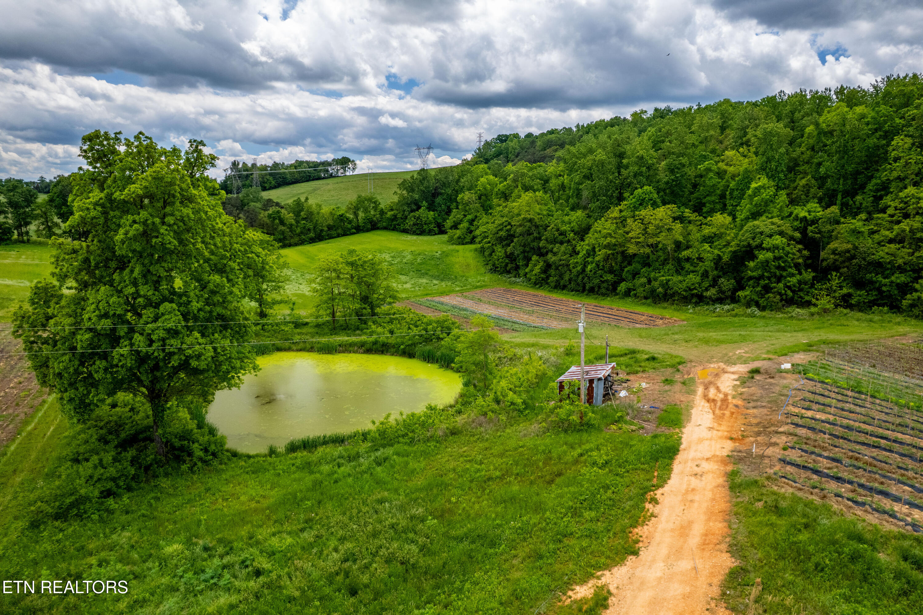 Greenlee Road Rutledge, TN 37861 - Photo 12 of 14 726GreenleeRd-48