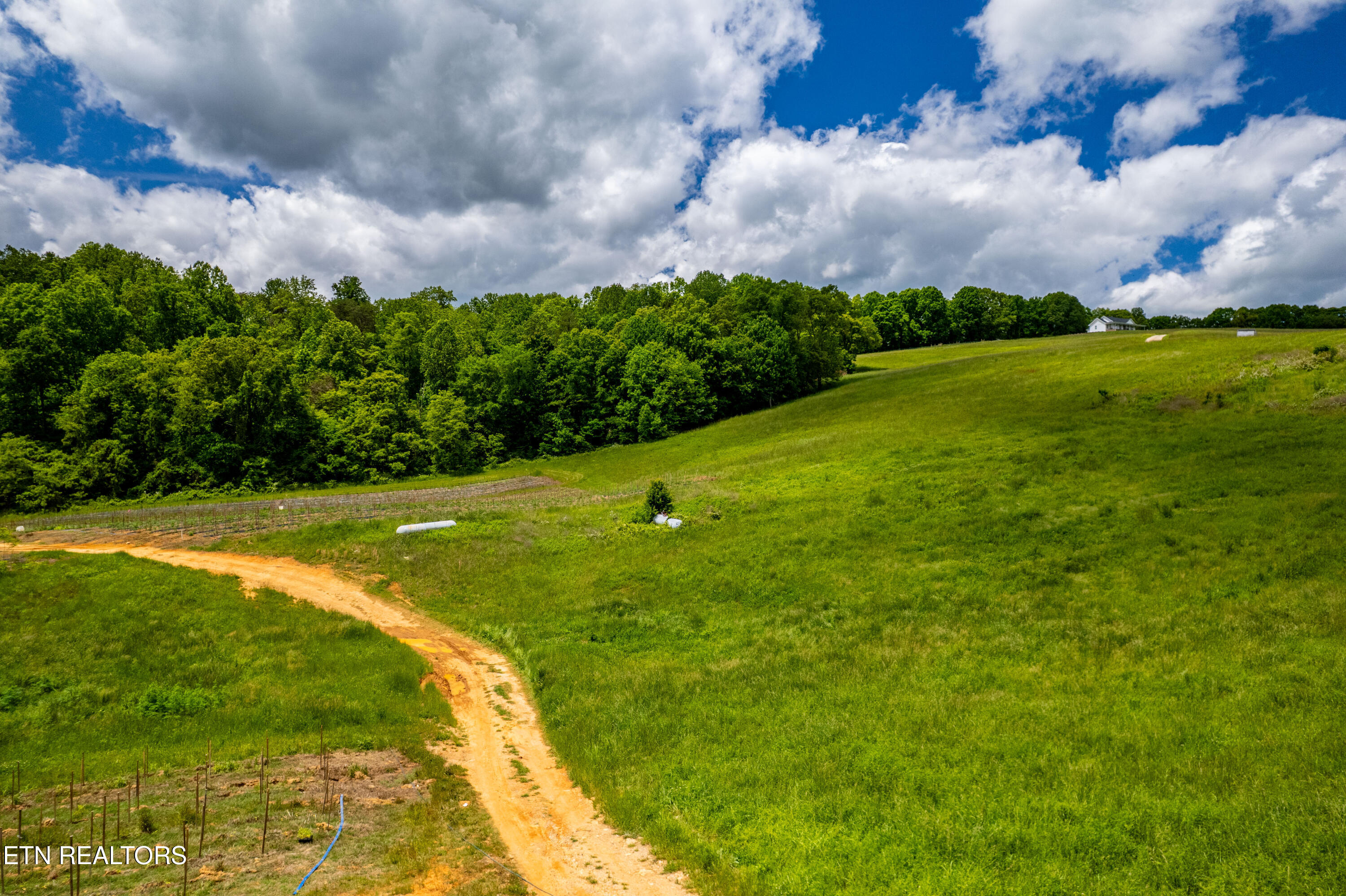 Greenlee Road Rutledge, TN 37861 - Photo 14 of 14 726GreenleeRd-57