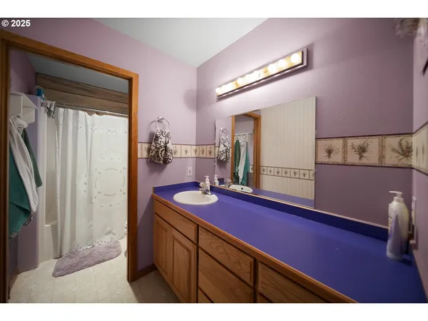 a bathroom with a sink a mirror and a shower