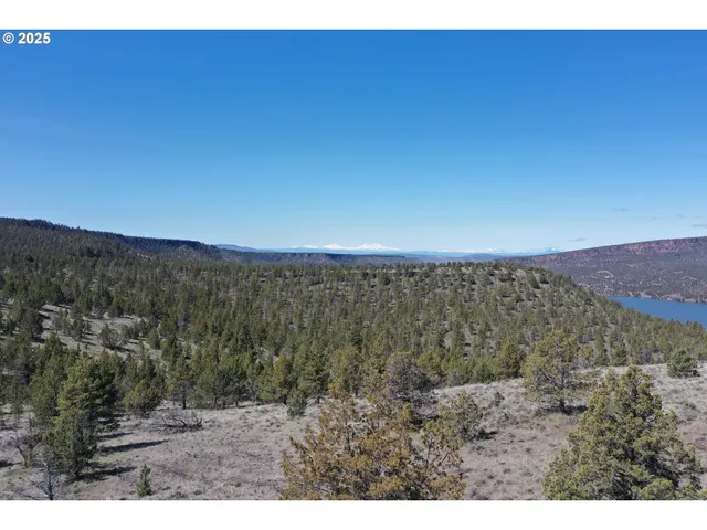 a view of a dry yard with mountain view