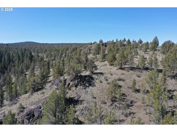 a view of a dry yard