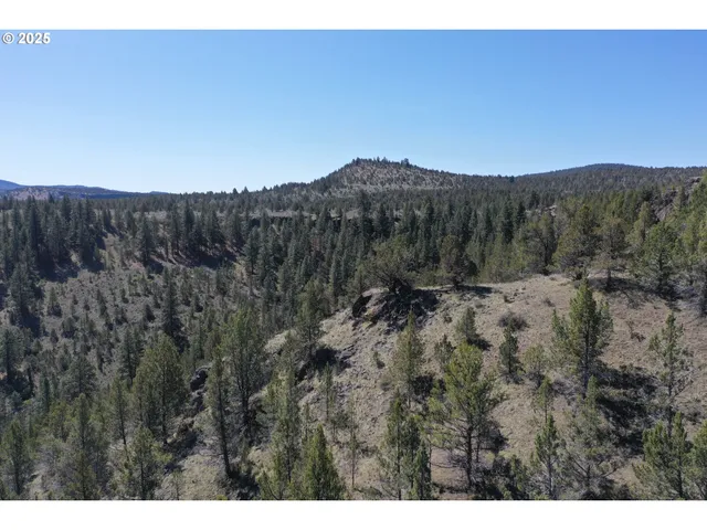 a view of a dry yard