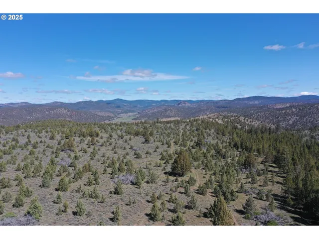a view of a lush green field
