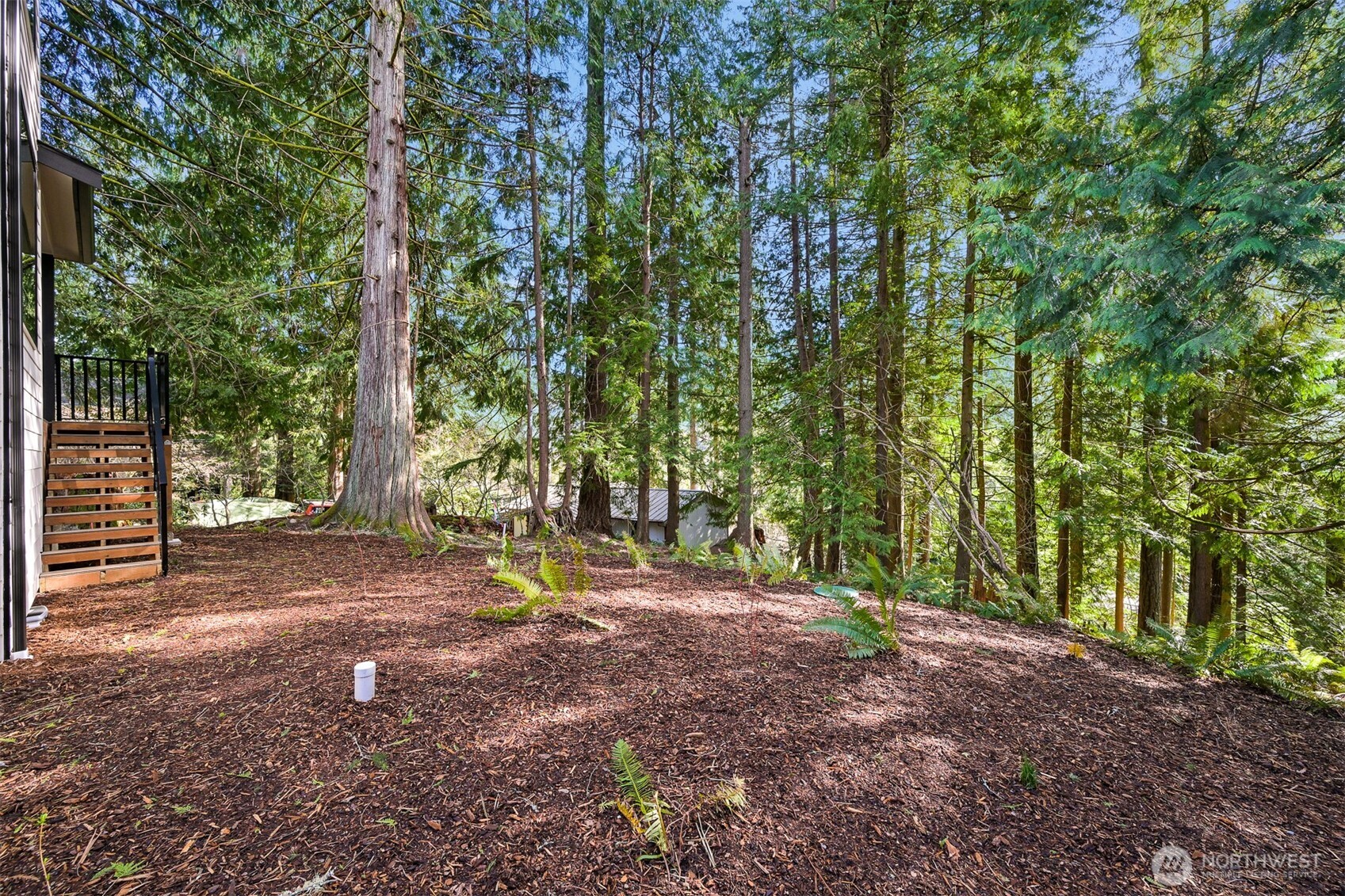353 Sudden Valley Drive Bellingham, WA 98229 - Photo 38 of 40 a view of outdoor space with trees