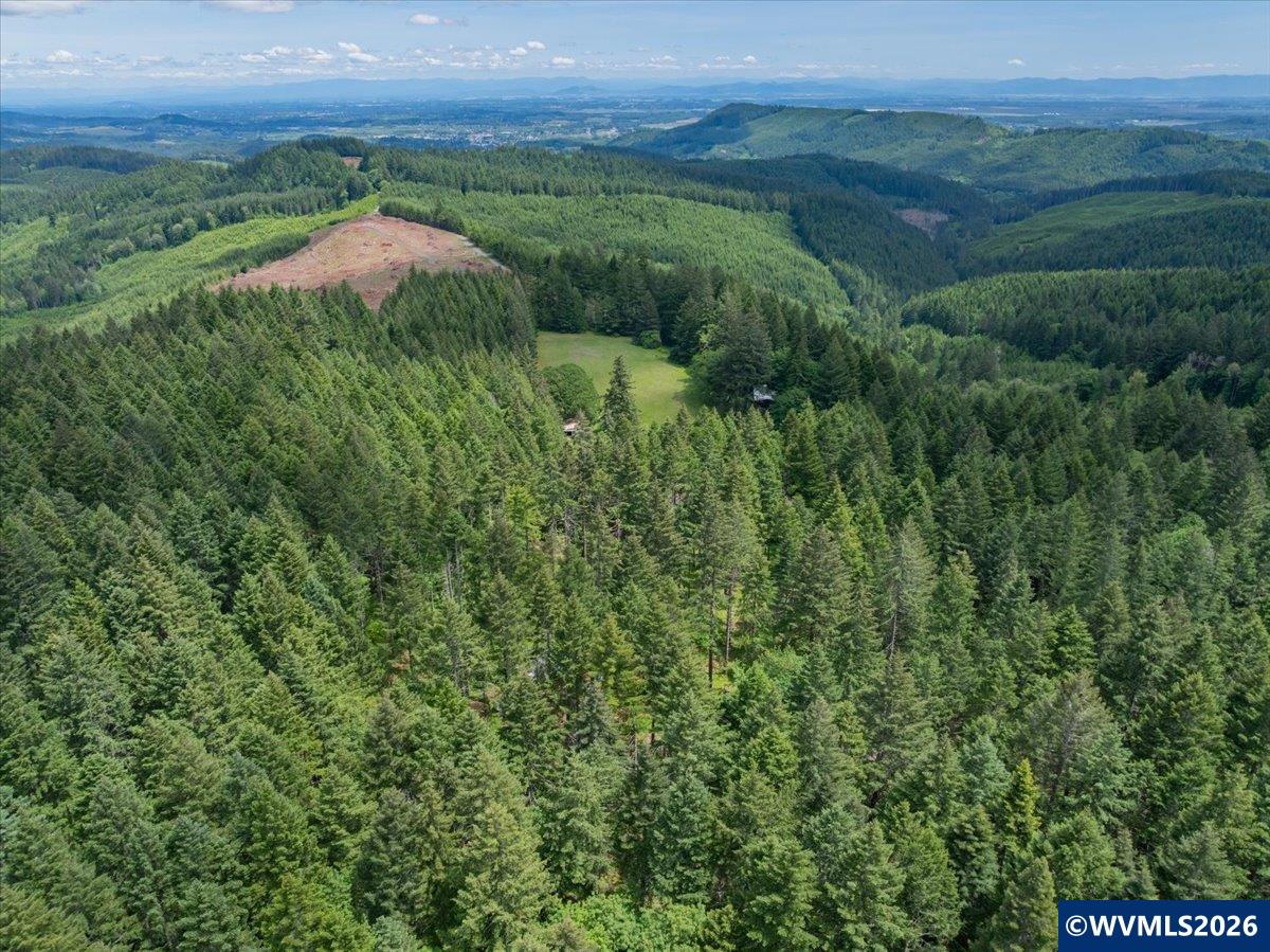 23161 Old Peak Road Philomath, OR 97370 - Photo 48 of 49