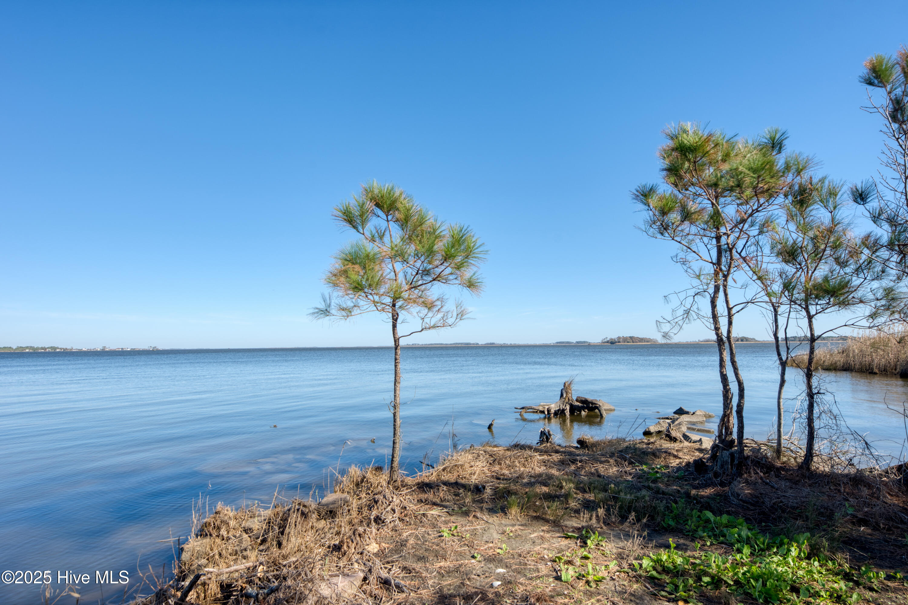 142 Major Island Road Maple, NC 27956 - Photo 11 of 35 Back yard view