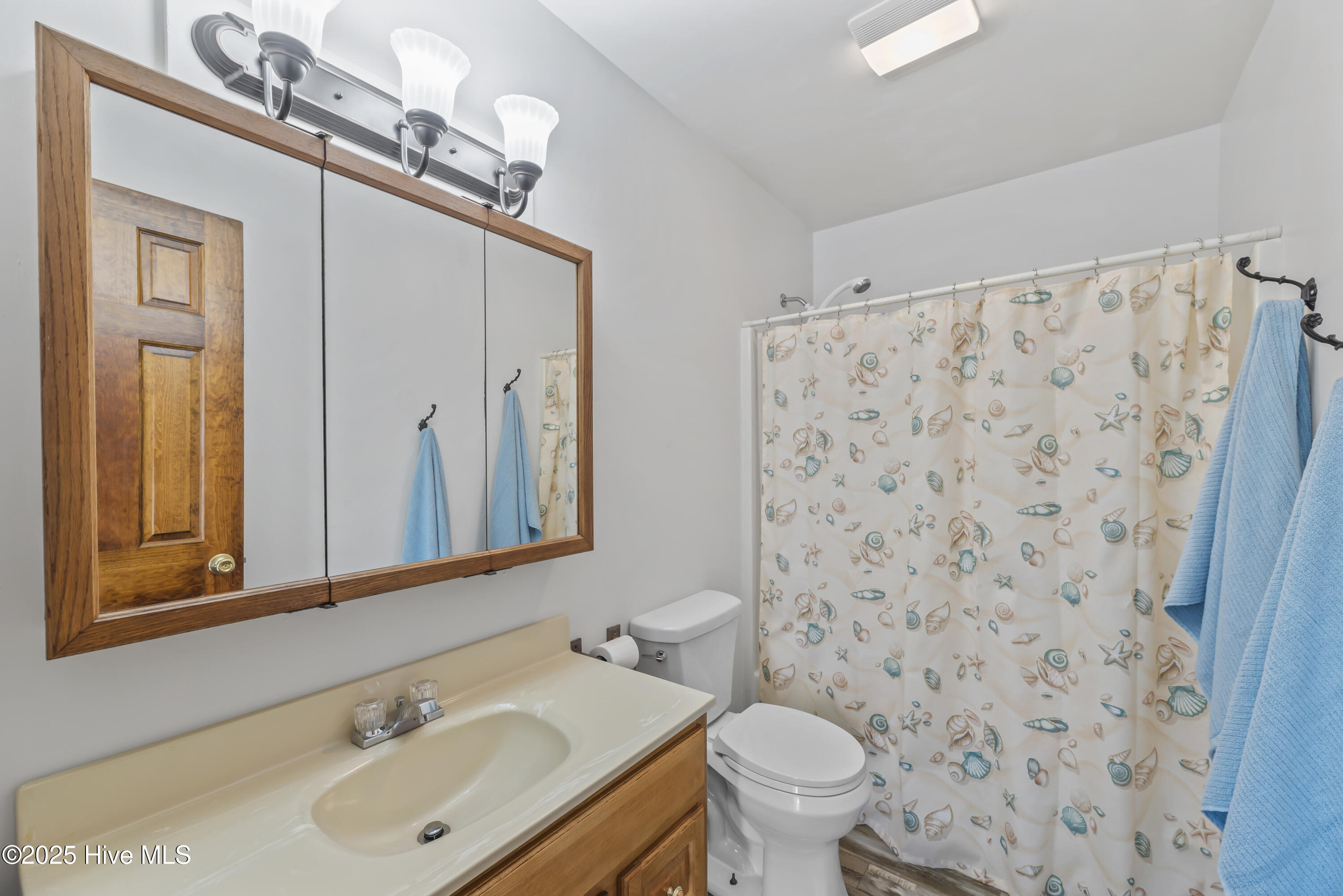 142 Major Island Road Maple, NC 27956 - Photo 26 of 35 Master Bath
