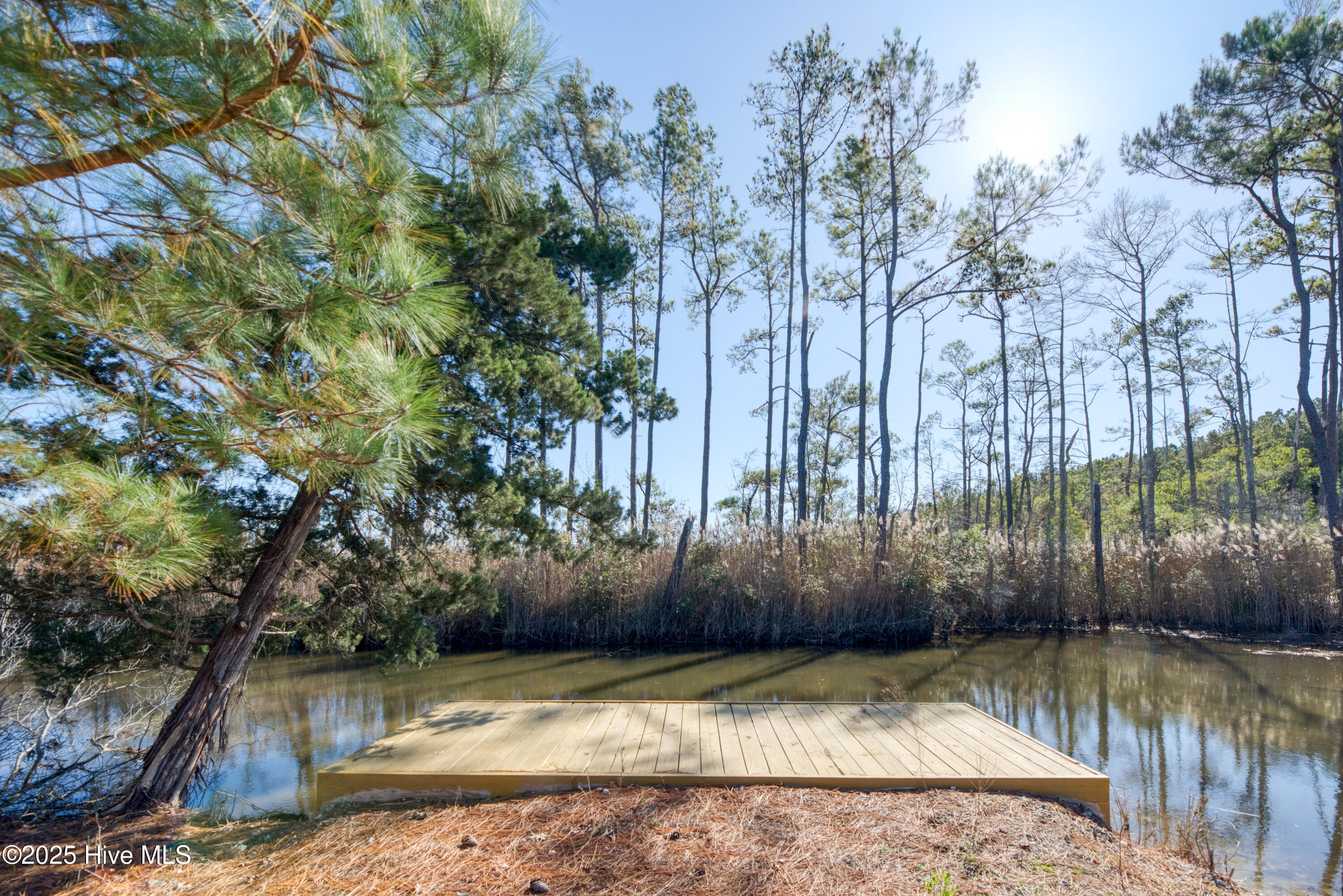 142 Major Island Road Maple, NC 27956 - Photo 9 of 35 New dock