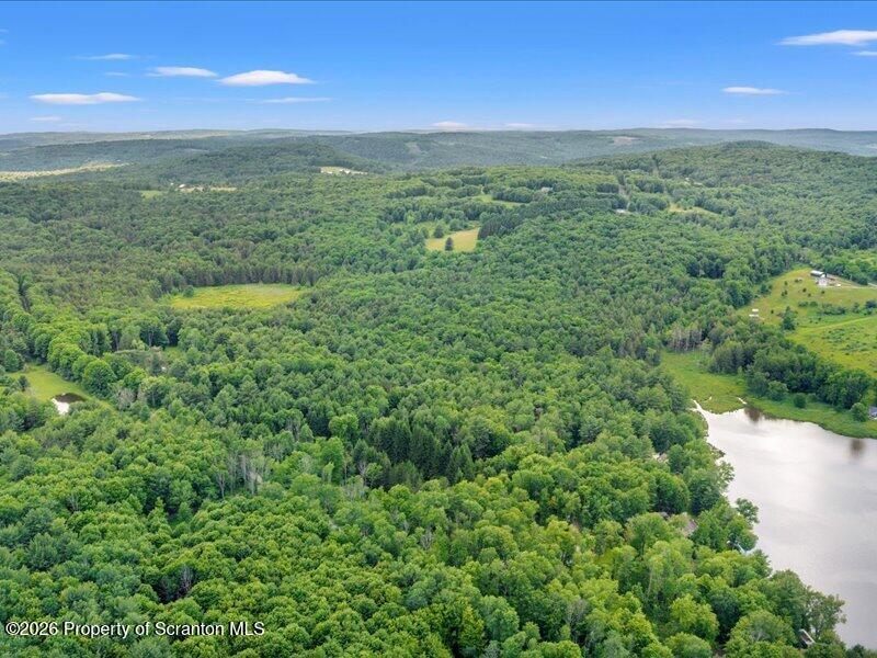 Stanley Lake Road Friendsville, PA 18818 - Photo 11 of 15 12-DJI_20260618041601_0120_D