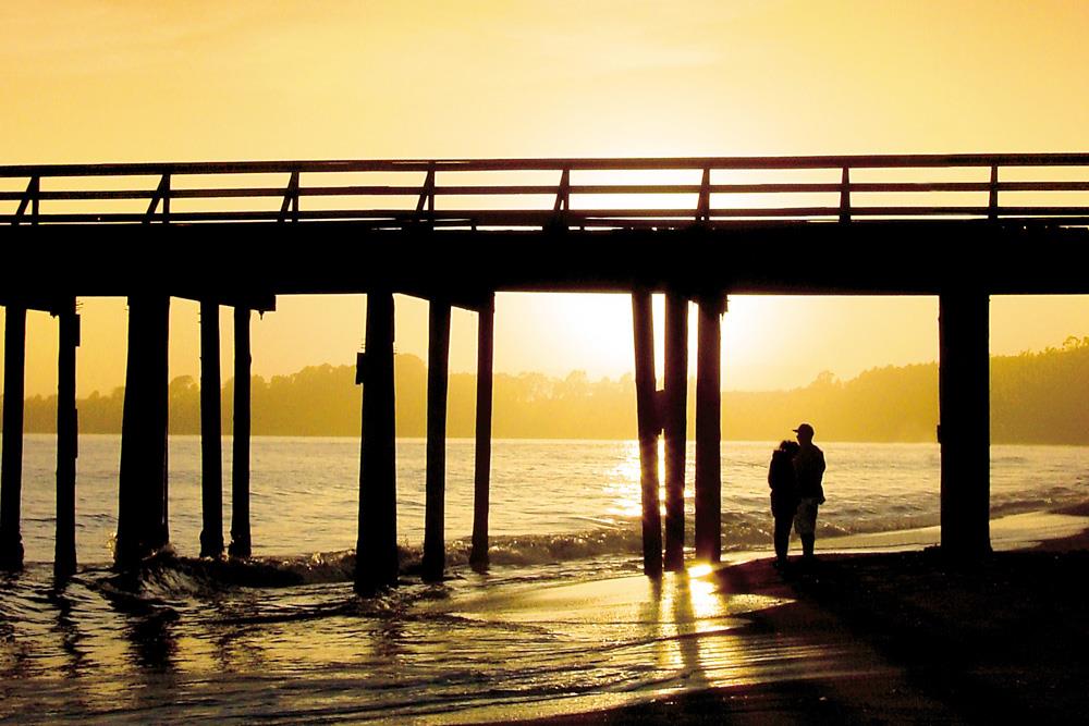 611 Middlefield Drive Aptos, CA 95003 - Photo 10 of 11 a view of swimming pool with a yard