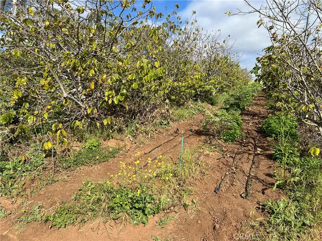 $1,149,900 | 2205 Bautista Avenue, Vista, CA 92084