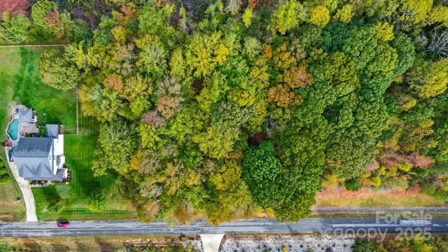 a view of a lots of trees and flowers