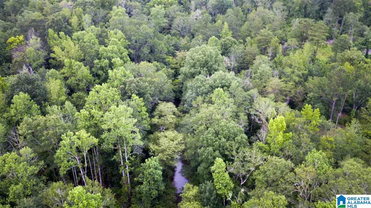 180 Gibson Road, Unit 76 / ACRES OFF GIBSON R Columbiana, AL 35051 - Photo 31 of 50