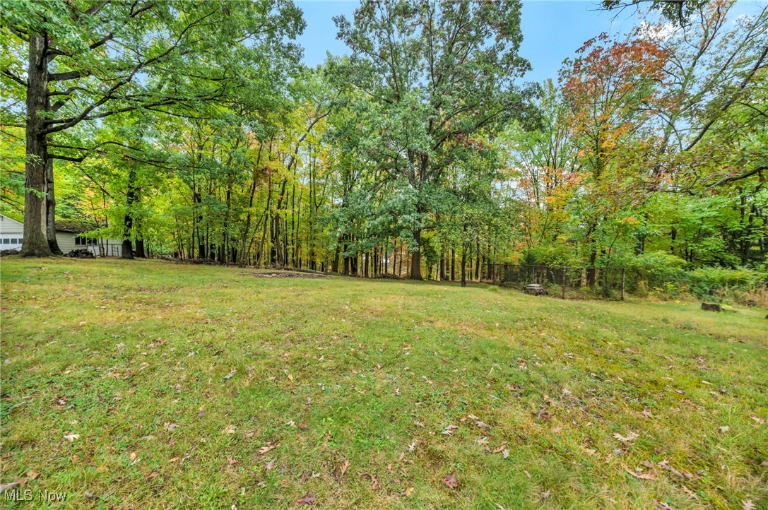 6905 West Pleasant Valley Road Cleveland, OH 44129 - Photo 35 of 36 View of yard