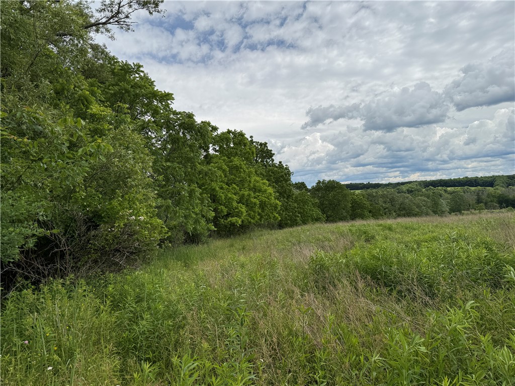 Tucker Road Ithaca, NY 14850 - Photo 6 of 35