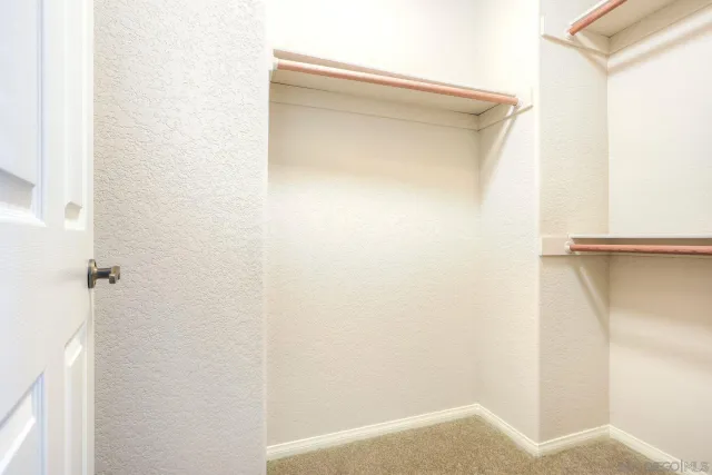 a view of a backyard with plants