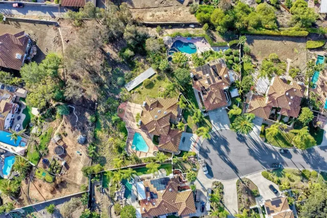 a view of a yard with plants