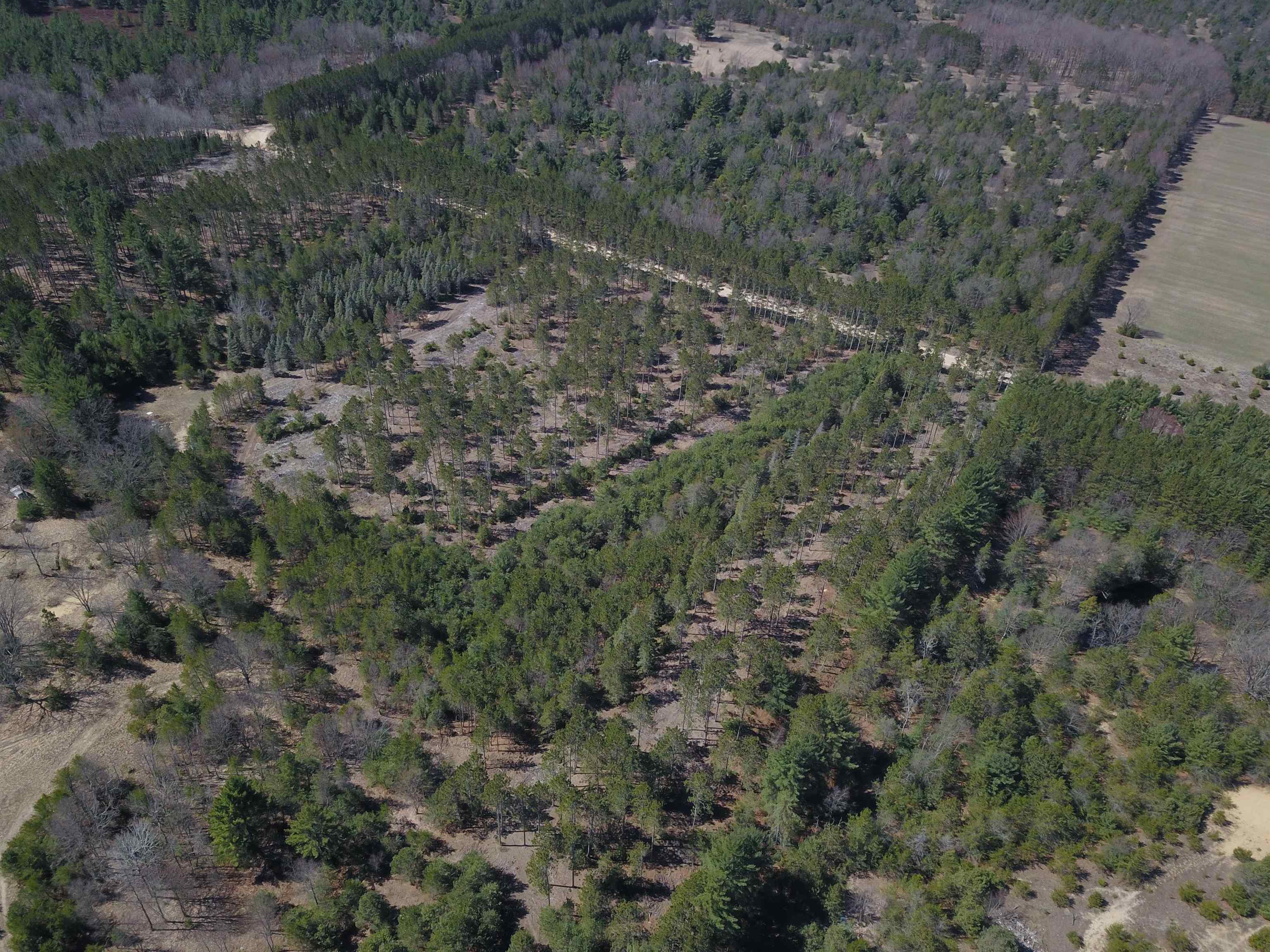 9.69-acres Niemi Road Kaleva, MI 49645 - Photo 17 of 30