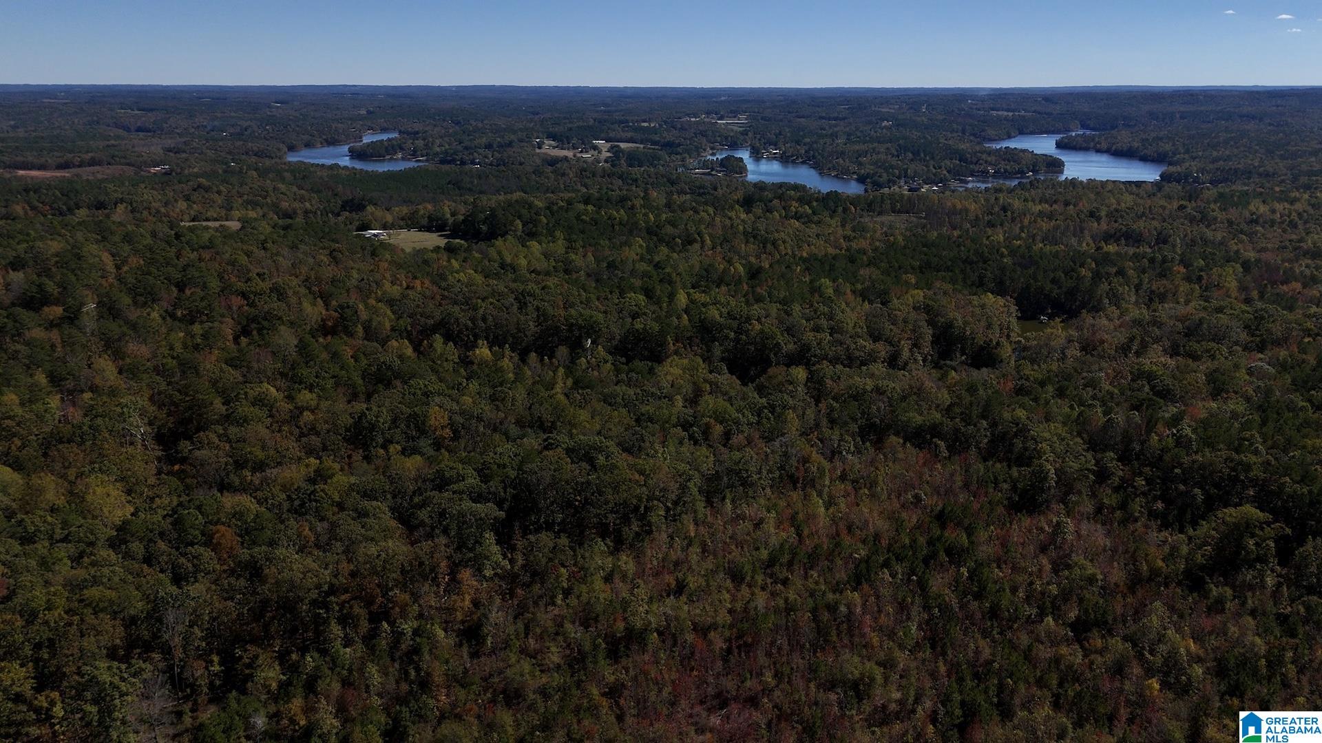 0 County Road 99, Unit 1 Wedowee, AL 36278 - Photo 1 of 5