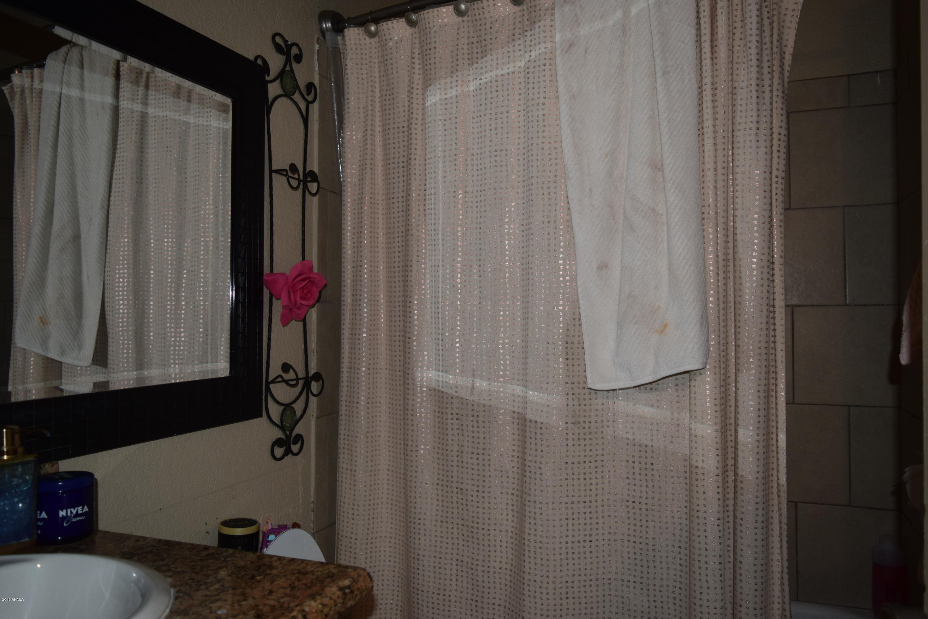 135 North Ext Road, Unit 1 Mesa, AZ 85201 - Photo 33 of 33 DSC_0058