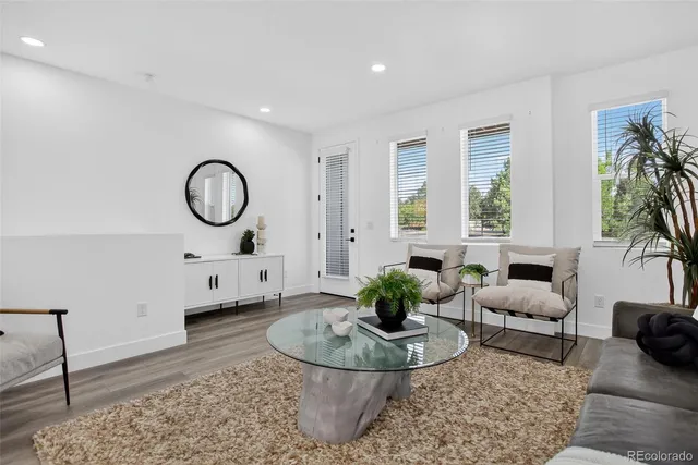 a living room with furniture and a potted plant