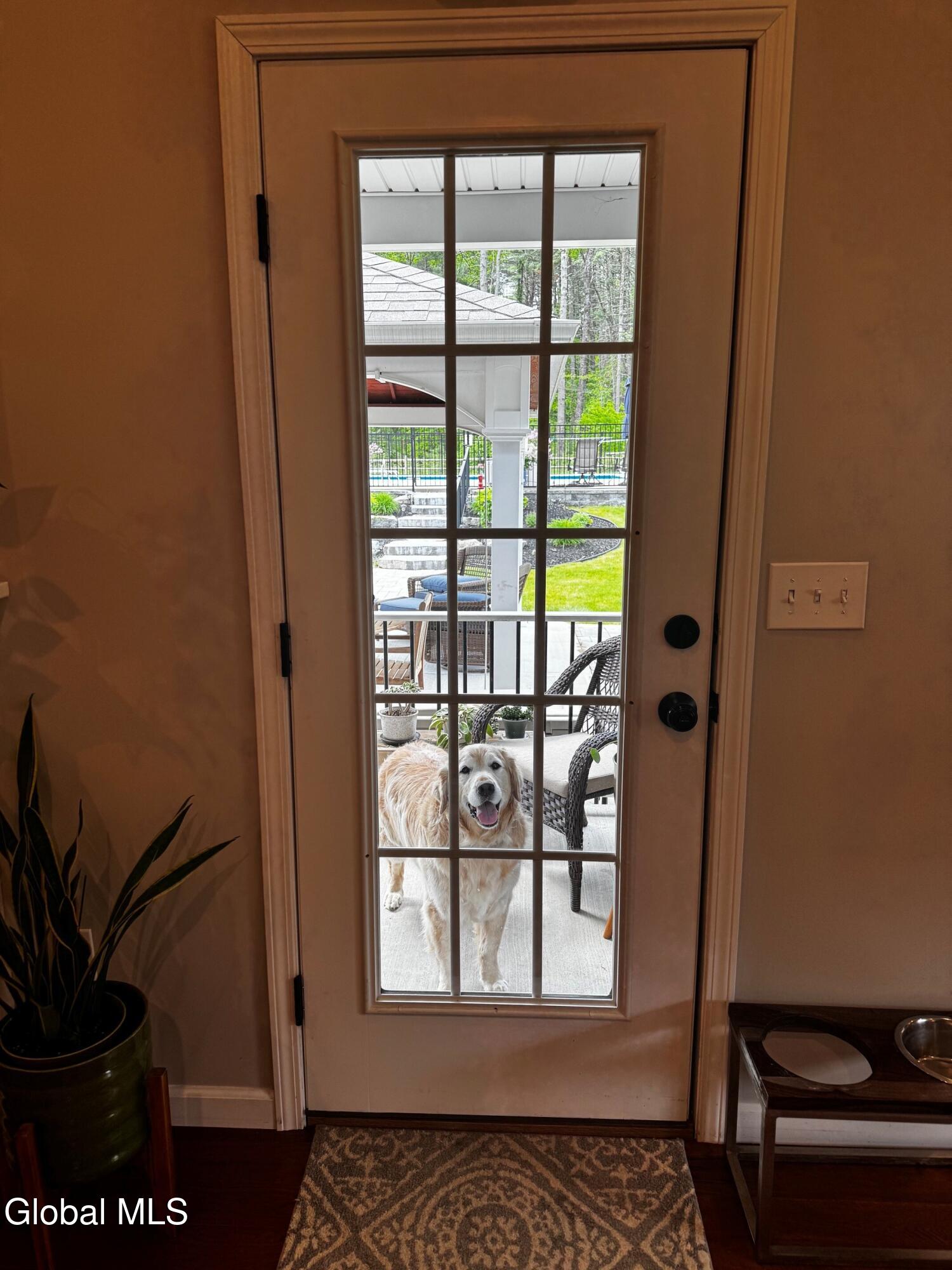 55 John Clendon Road Queensbury, NY 12804 - Photo 34 of 56 Back door Kemba!