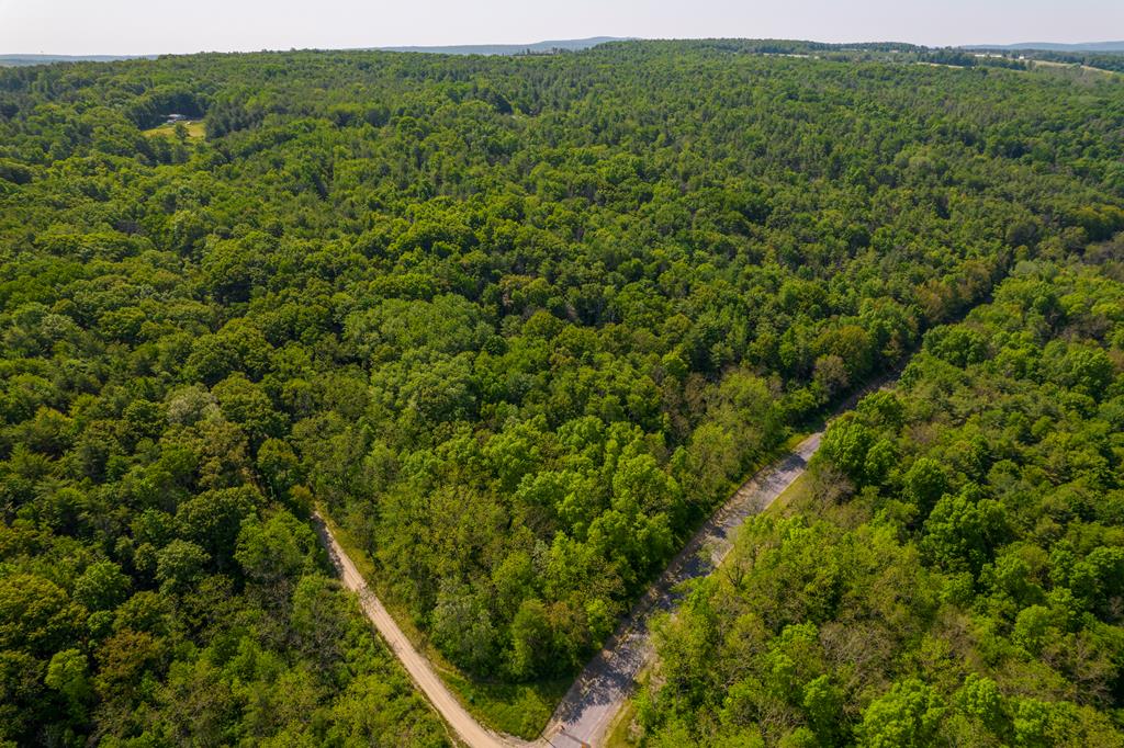 0 Ardrey Road Dundee, NY 14837 - Photo 1 of 1