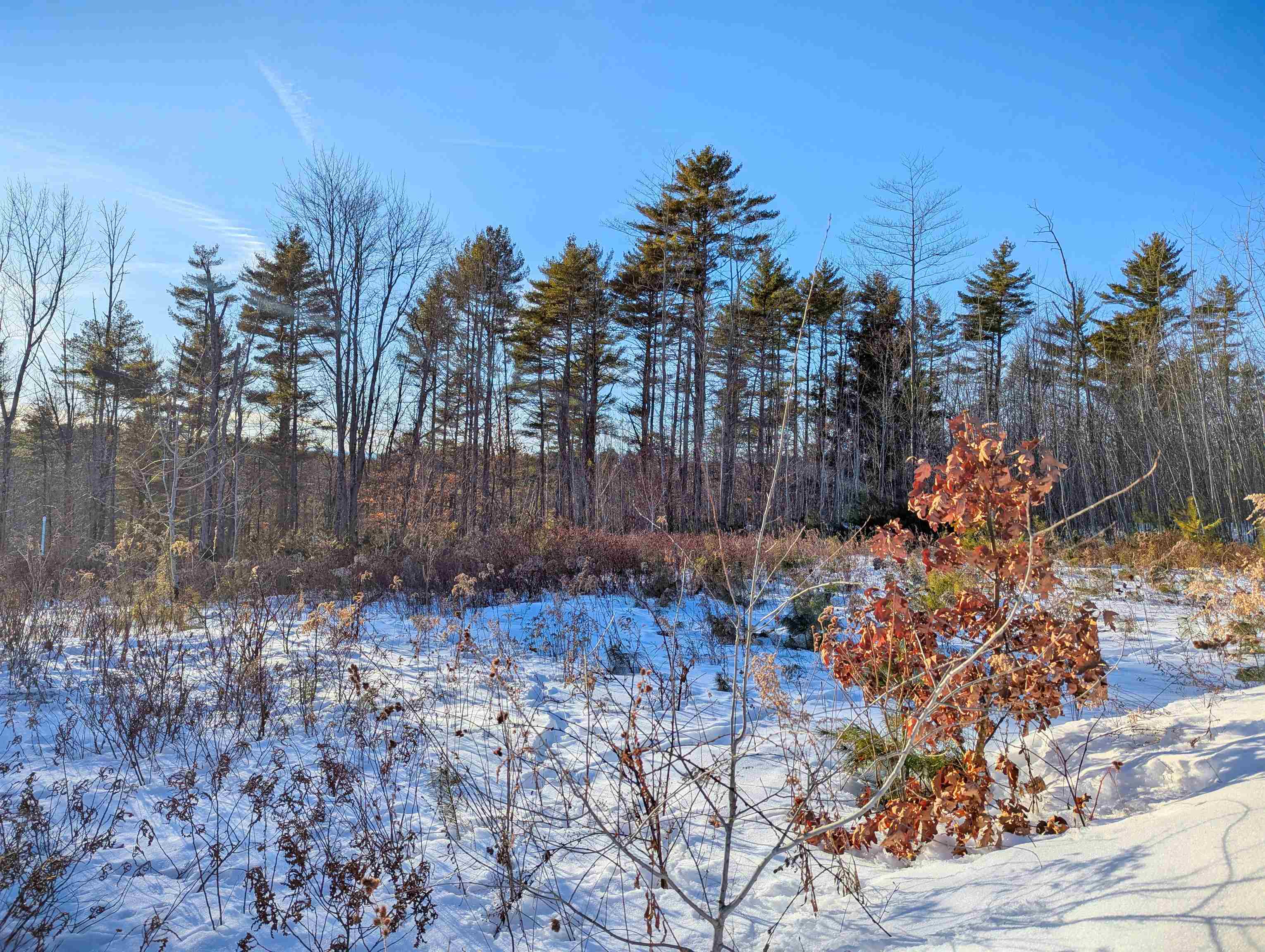 15 Hot Hole Pond Road Concord, NH 03301 - Photo 10 of 17