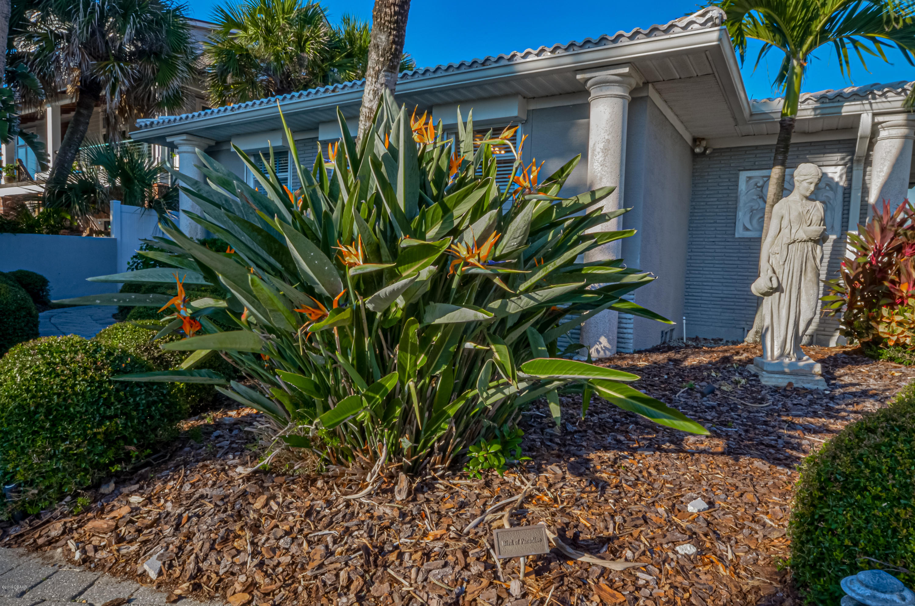 637 Ocean Shore Boulevard Ormond Beach, FL 32176 - Photo 10 of 62 DSC_0340